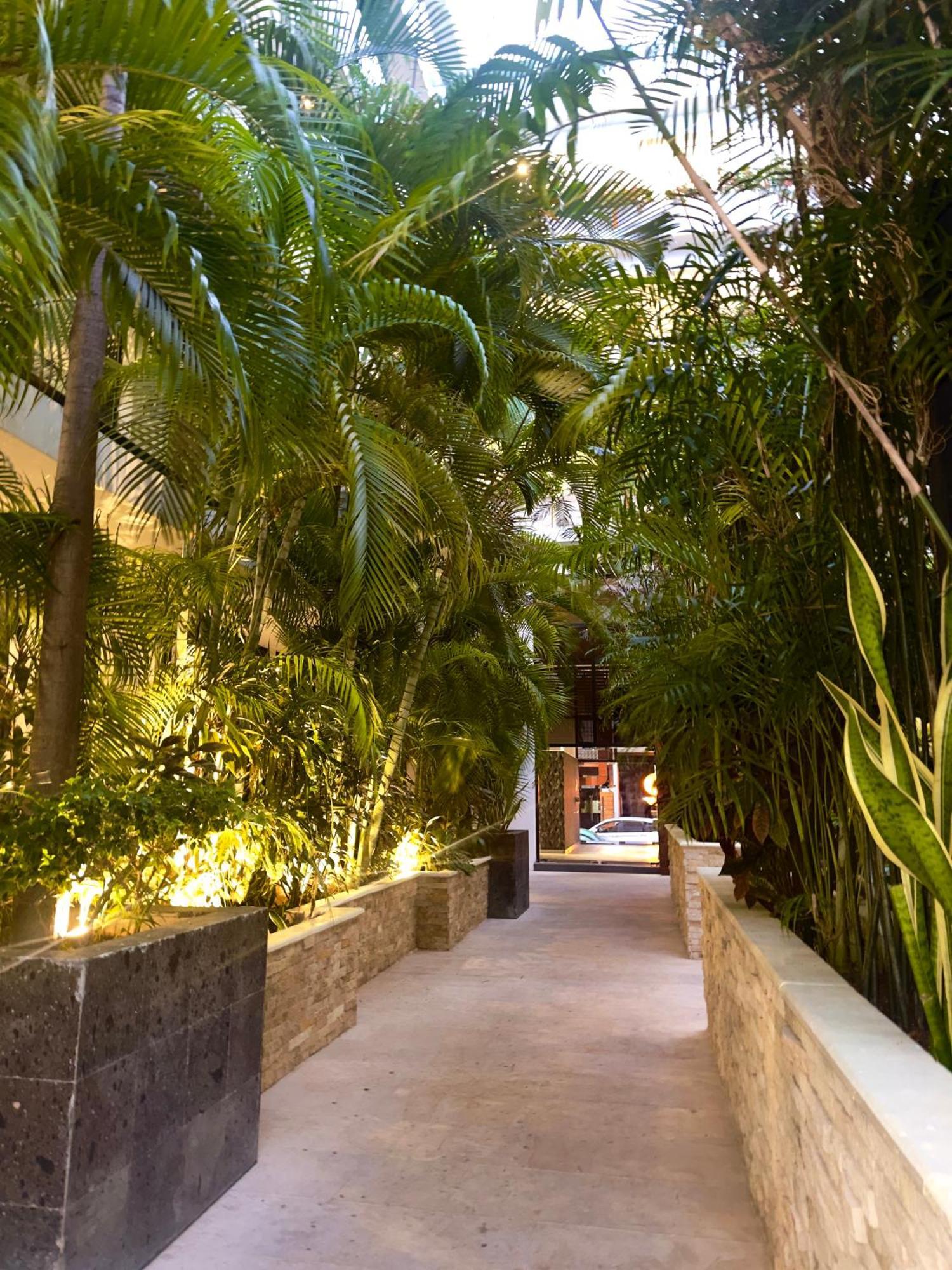 The City Condos By Menesse Playa del Carmen Kültér fotó